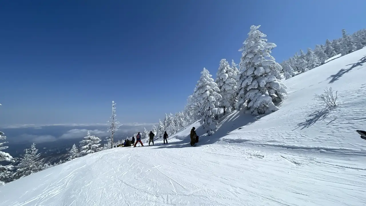 青空の下、樹氷が並ぶゲレンデ。私がよく滑りに行く雪山の風景